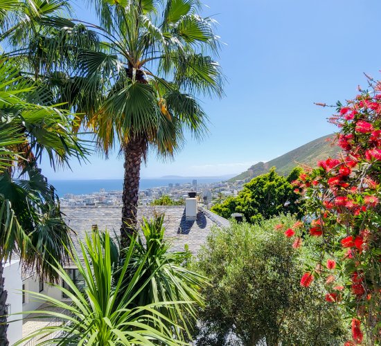 7 Avenue Coeur De Lion (65)